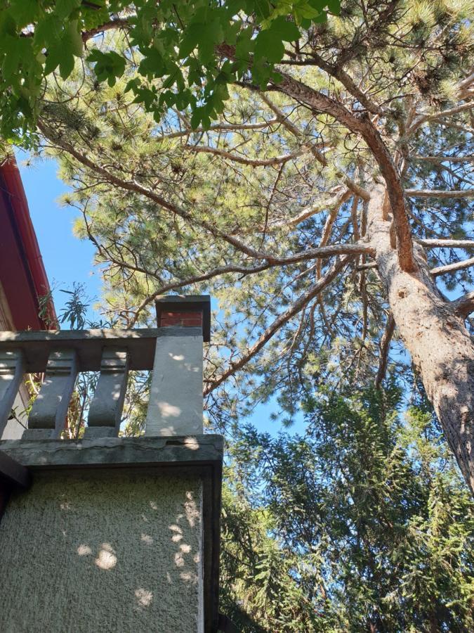 Kasza Villa バラトンフレド エクステリア 写真