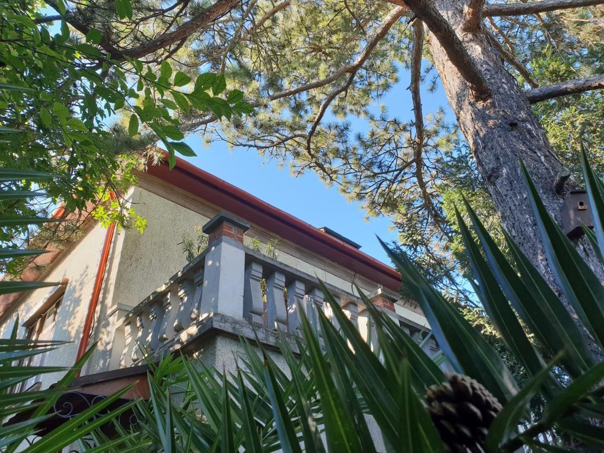 Kasza Villa バラトンフレド エクステリア 写真