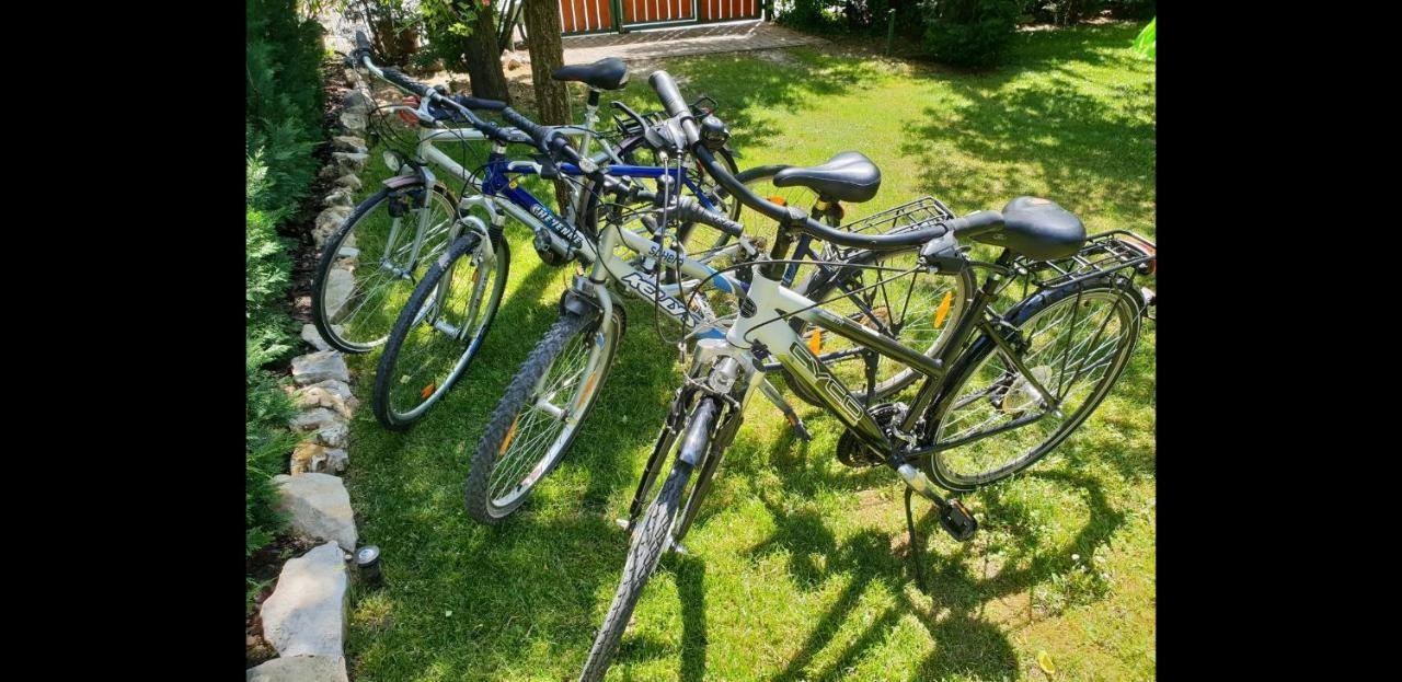 Kasza Villa バラトンフレド エクステリア 写真