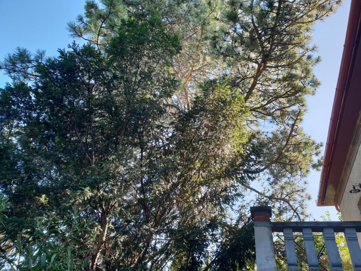 Kasza Villa バラトンフレド エクステリア 写真