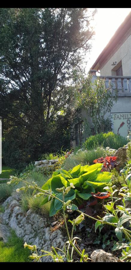 Kasza Villa バラトンフレド エクステリア 写真