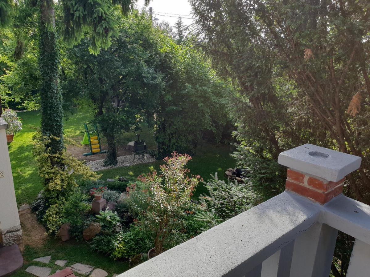 Kasza Villa バラトンフレド エクステリア 写真