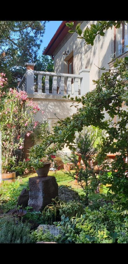 Kasza Villa バラトンフレド エクステリア 写真