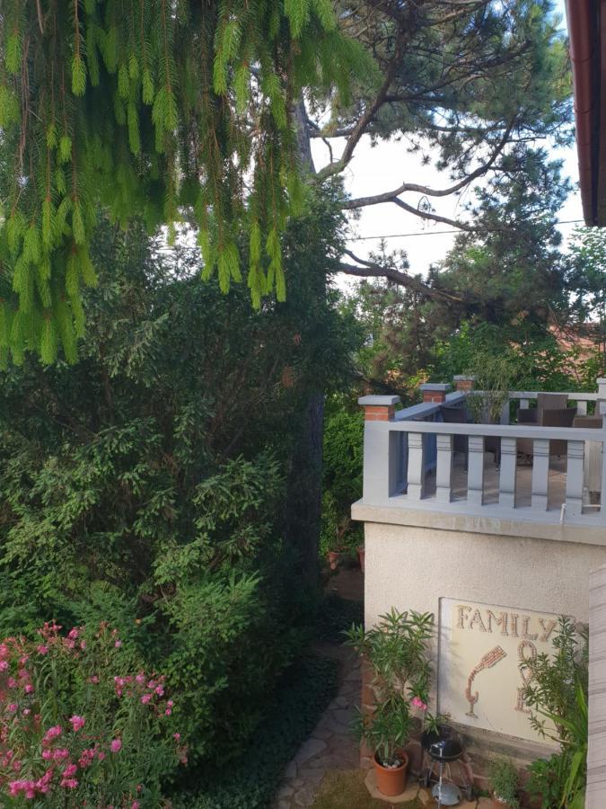 Kasza Villa バラトンフレド エクステリア 写真