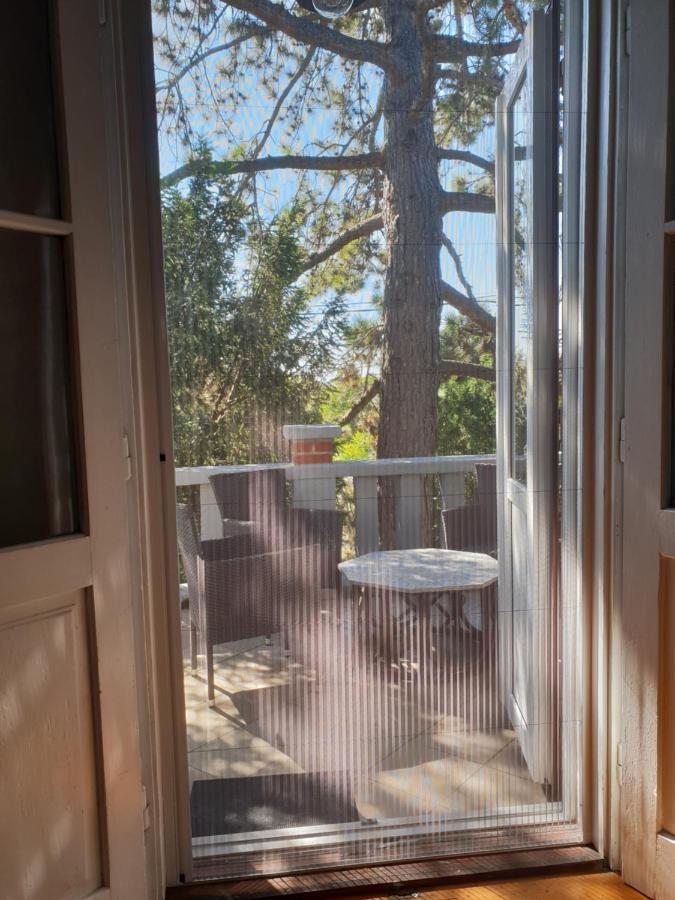Kasza Villa バラトンフレド エクステリア 写真