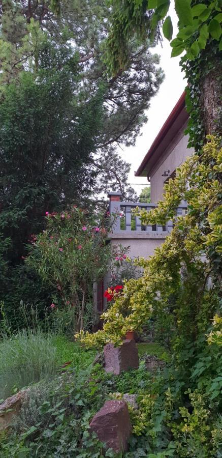Kasza Villa バラトンフレド エクステリア 写真