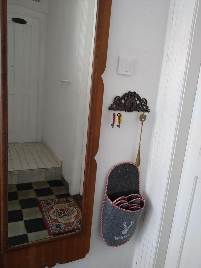 Kasza Villa バラトンフレド エクステリア 写真
