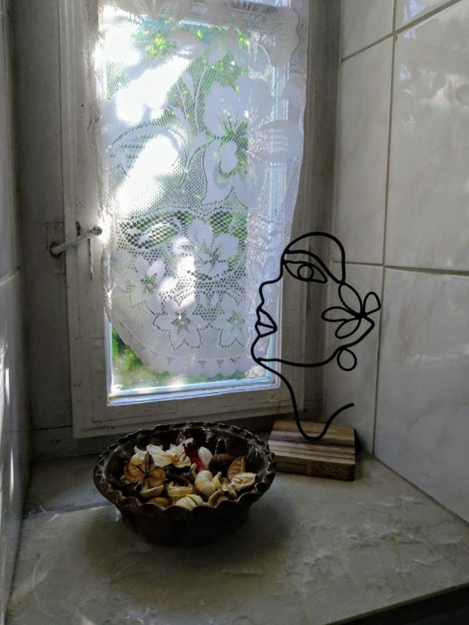 Kasza Villa バラトンフレド エクステリア 写真