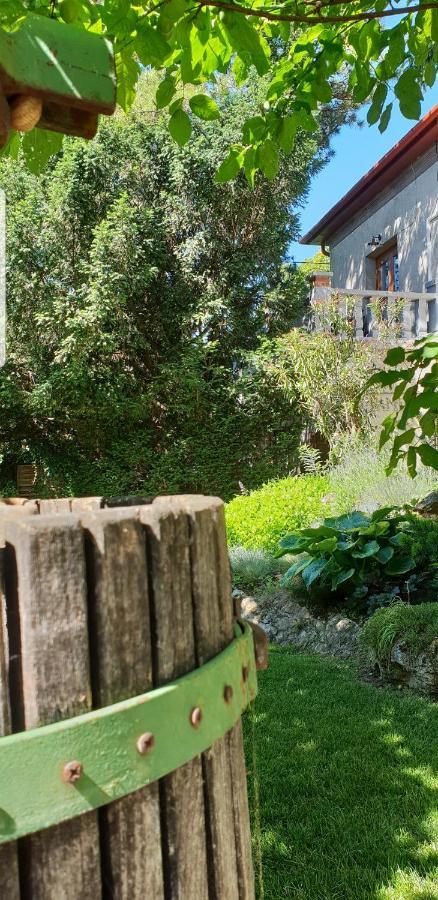 Kasza Villa バラトンフレド エクステリア 写真