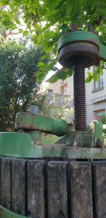 Kasza Villa バラトンフレド エクステリア 写真