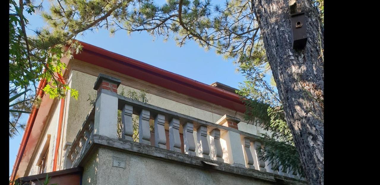 Kasza Villa バラトンフレド エクステリア 写真