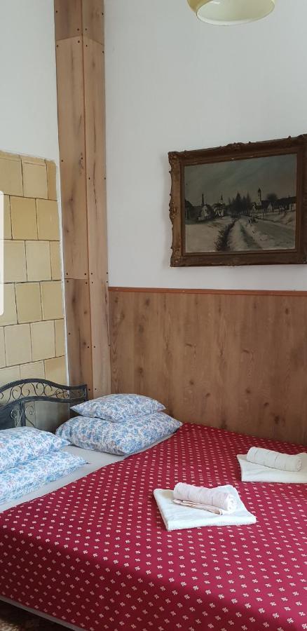Kasza Villa バラトンフレド エクステリア 写真