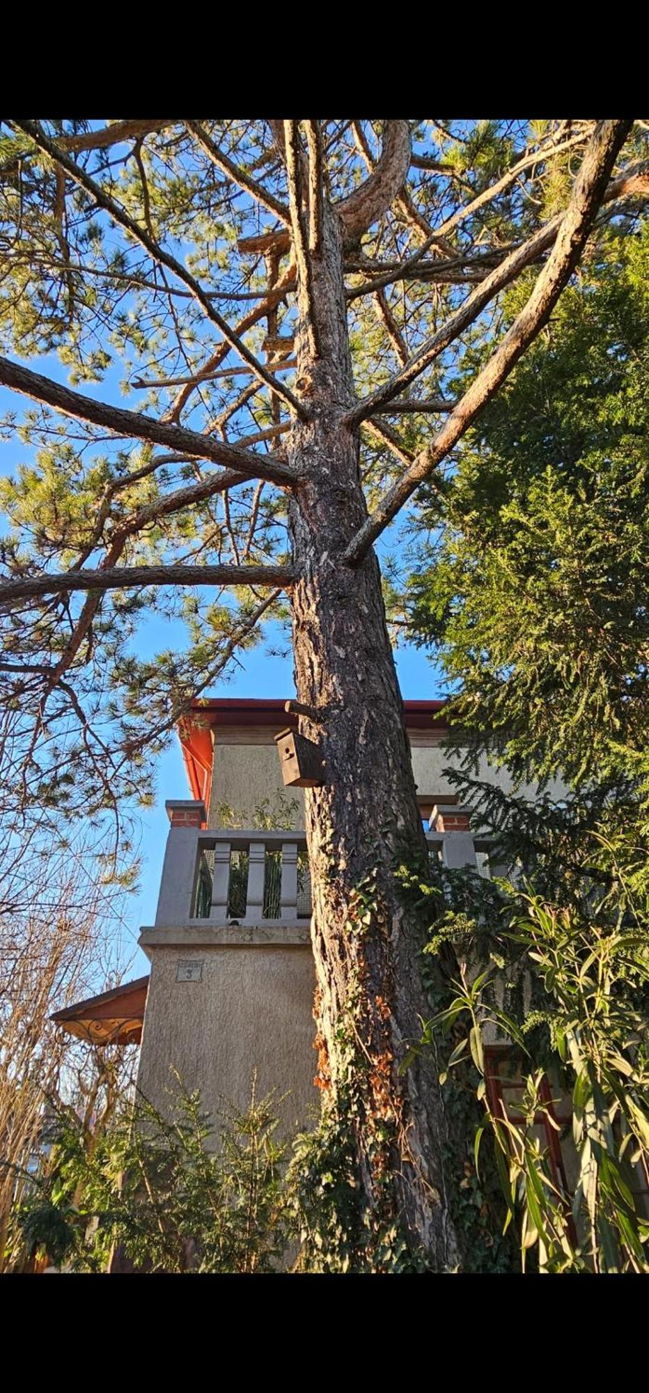 Kasza Villa バラトンフレド エクステリア 写真