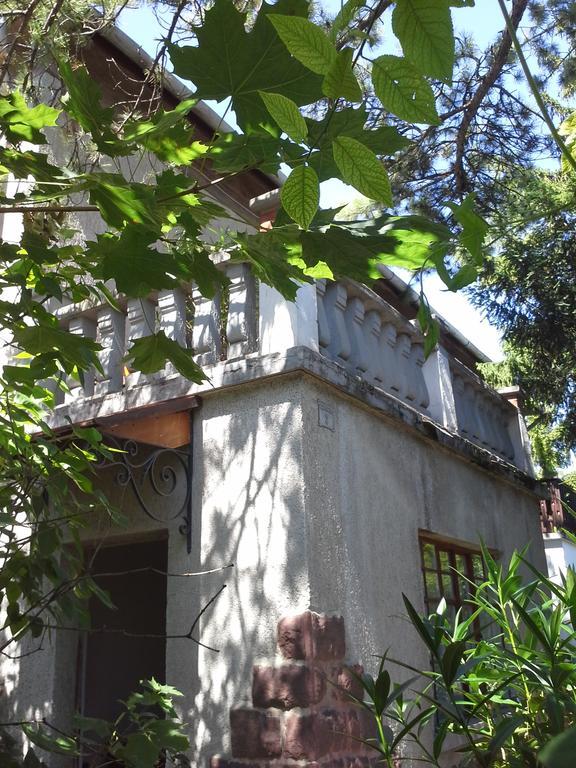 Kasza Villa バラトンフレド エクステリア 写真