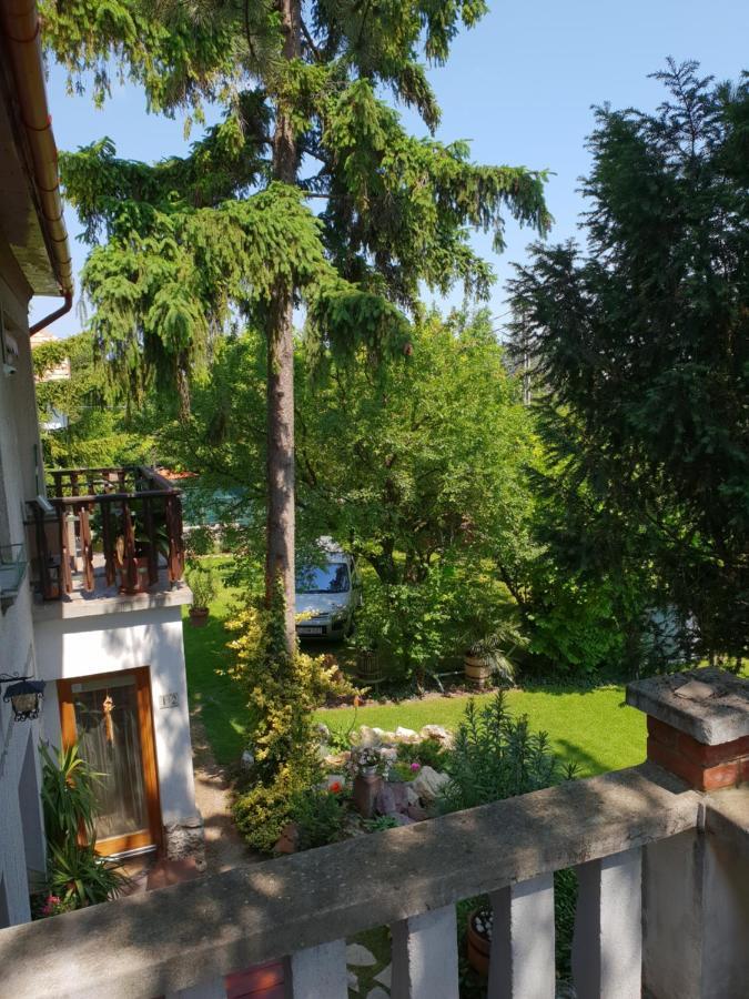 Kasza Villa バラトンフレド エクステリア 写真